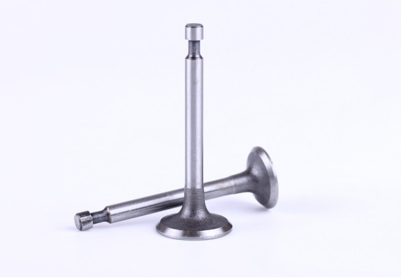 Клапани, к-т: 2 шт. – 156F